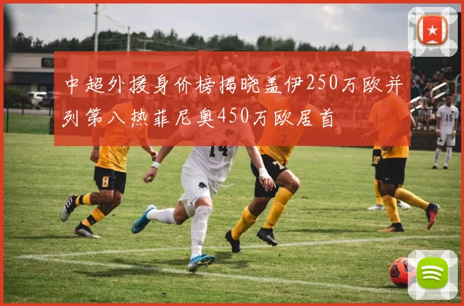 中超外援身价榜揭晓盖伊250万欧并列第八热菲尼奥450万欧居首