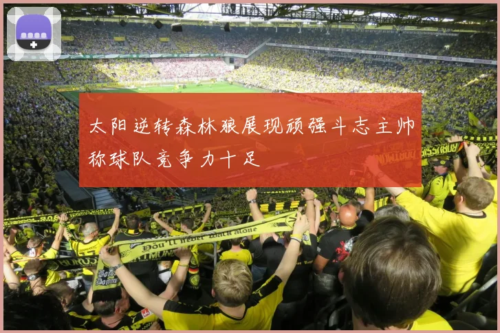 太阳逆转森林狼展现顽强斗志主帅称球队竞争力十足