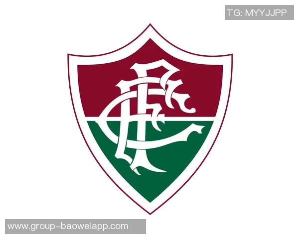 弗鲁米嫩塞大胜锁定巴甲前七名资格争夺明年解放者杯席位希望大增 弗鲁米嫩塞大胜锁定巴甲前七名资格争夺明年解放者杯席位希望大增